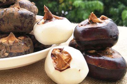 ݩ�������Ը����� ݩ�������Ը���������